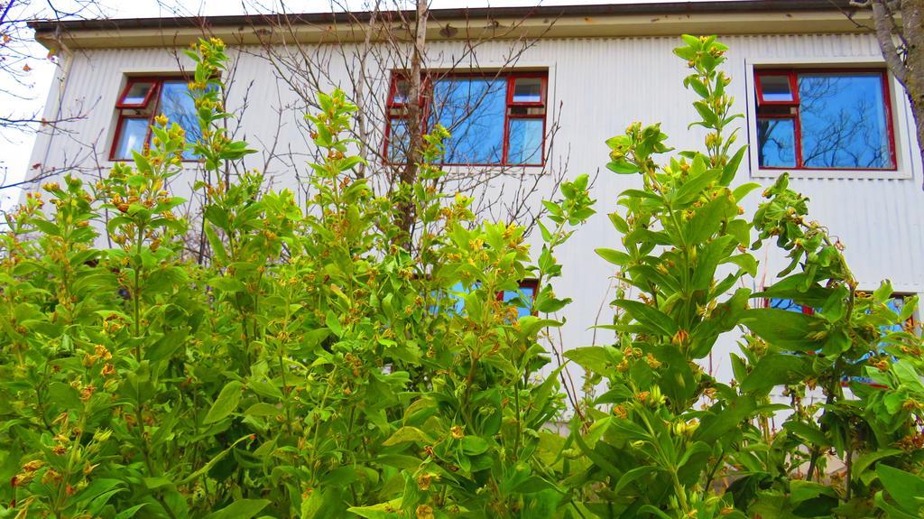 Guesthouse Kálfafellsstadur Kalfafellsstathur Exterior foto